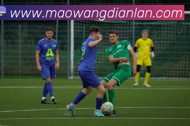 数据防护可视化